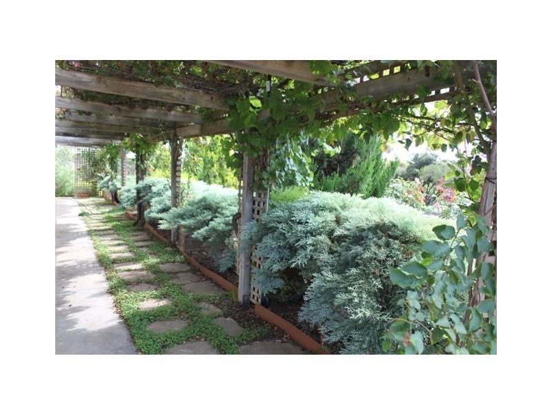 Sect 489 Flood Road, Mannum SA 5238