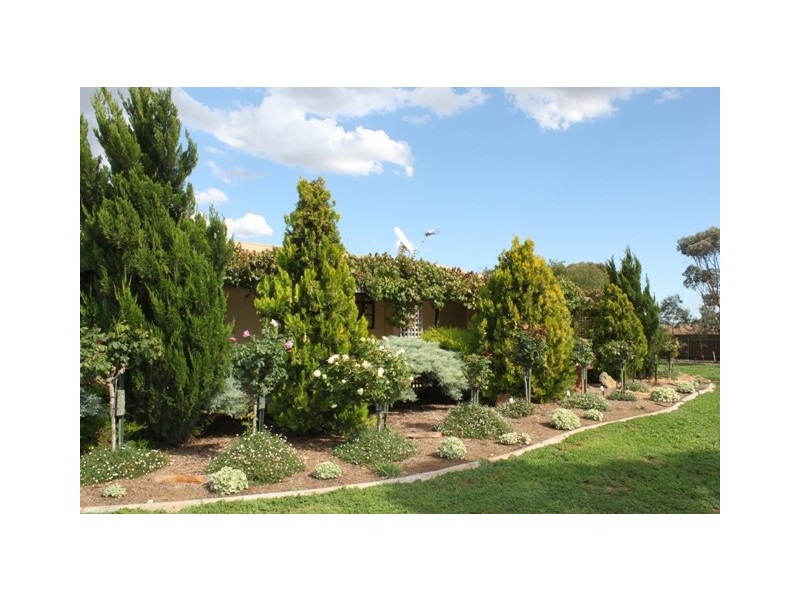 Sect 489 Flood Road, Mannum SA 5238