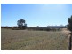 Lot 489 Flood Road, Mannum SA 5238