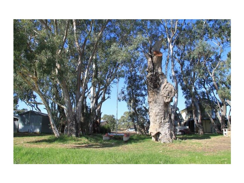 38 Khartoum Road, Bolto Reserve, Mannum SA 5238