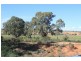 38 Khartoum Road, Bolto Reserve, Mannum SA 5238