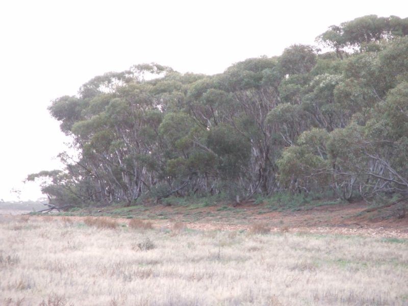 Lot 9 & 10,  Cockshell Road, Bowhill SA 5238