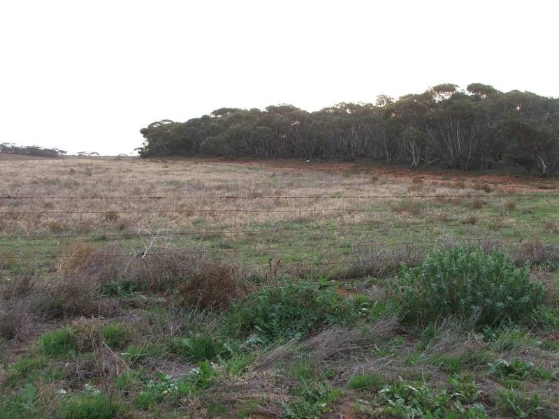 Lot 9 & 10,  Cockshell Road, Bowhill SA 5238