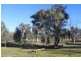 49 Marks Landing, Swan Reach SA 5354