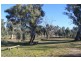 49 Marks Landing, Swan Reach SA 5354