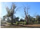 49 Marks Landing, Swan Reach SA 5354