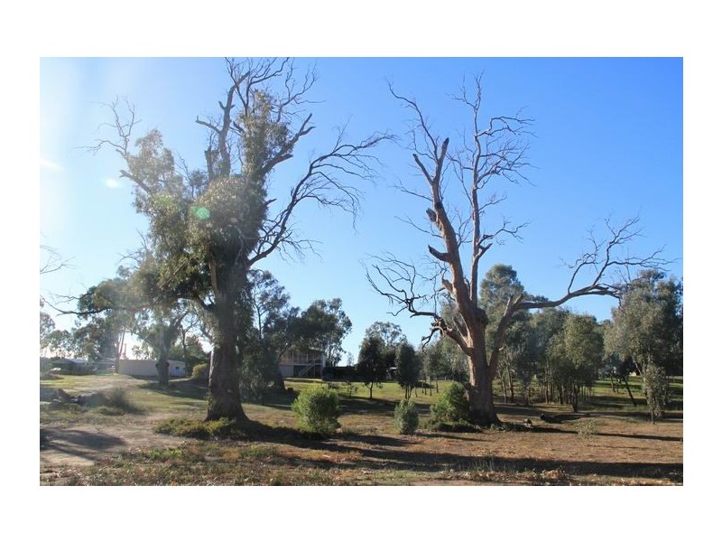 49 Marks Landing, Swan Reach SA 5354