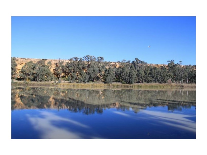 49 Marks Landing, Swan Reach SA 5354
