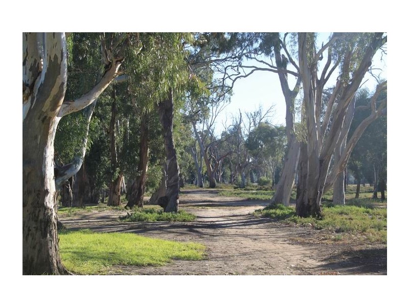 49 Marks Landing, Swan Reach SA 5354