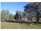 49 Marks Landing, Swan Reach SA 5354