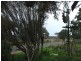 Lot 6 Purnong Road, Mannum SA 5238