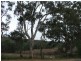 Lot 6 Purnong Road, Mannum SA 5238
