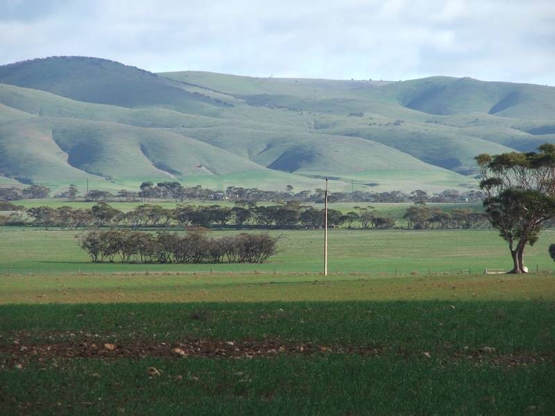 Pieces 500 Sedan Road, Cambrai SA 5353