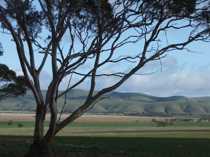 Pieces 500 Sedan Road, Cambrai SA 5353