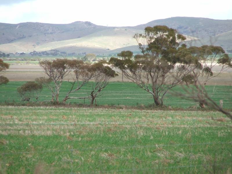 Pieces 500 Sedan Road, Cambrai SA 5353