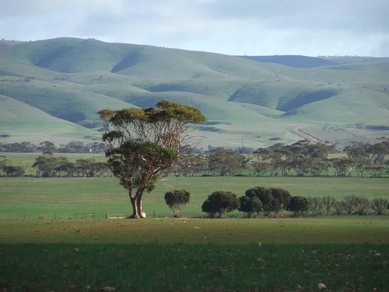 Pieces 500 Sedan Road, Cambrai SA 5353