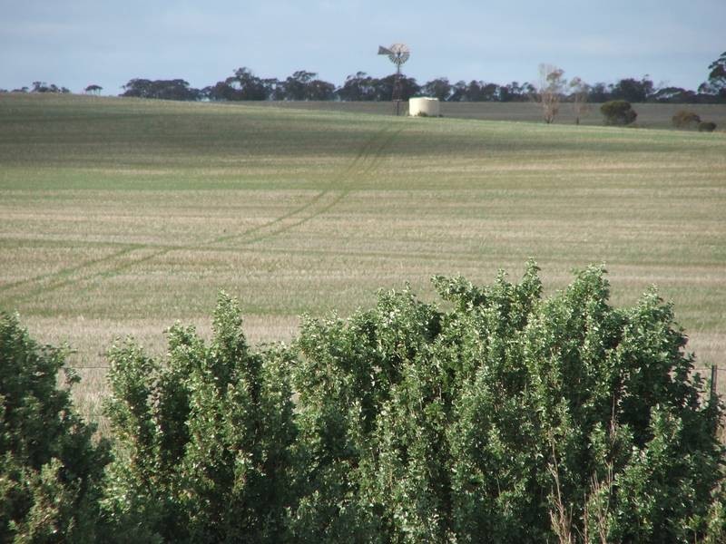 Pieces 500 Sedan Road, Cambrai SA 5353