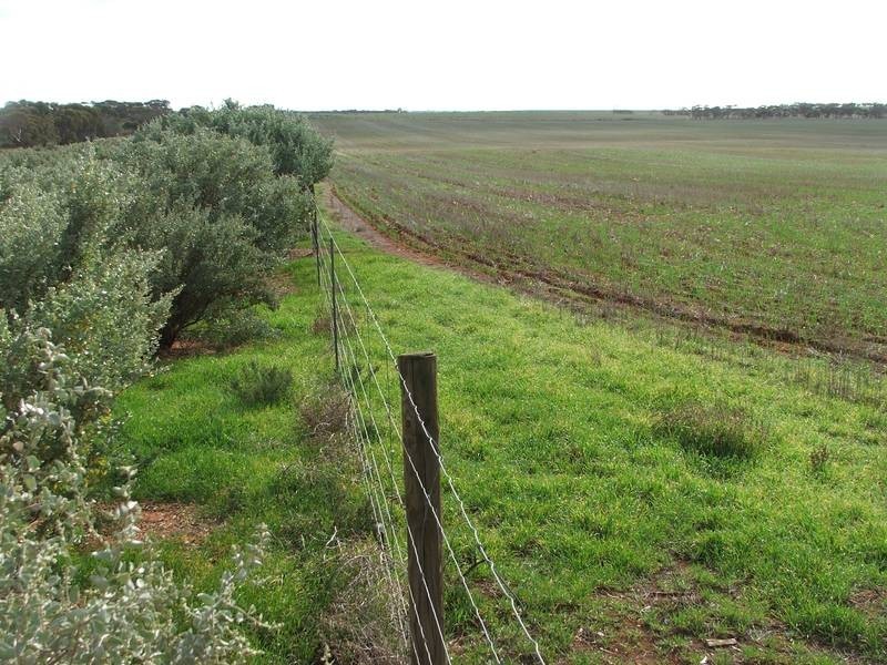 Pieces 500 Sedan Road, Cambrai SA 5353