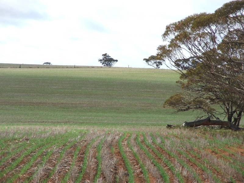 Pieces 500 Sedan Road, Cambrai SA 5353