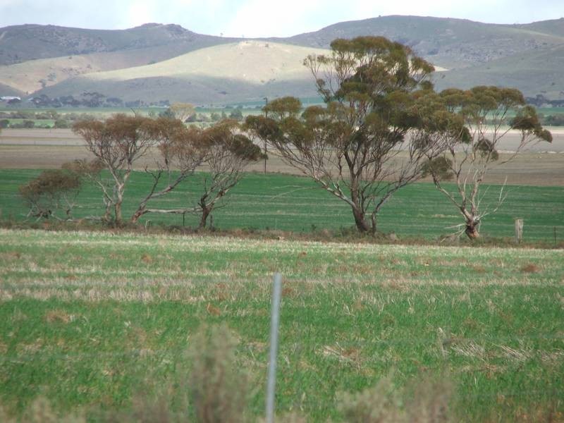 Pieces 500 Sedan Road, Cambrai SA 5353