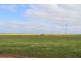 Lot 11 Ramm Road, Mannum SA 5238