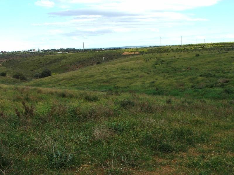 Lot 28 Shearer Heights, Mannum SA 5238