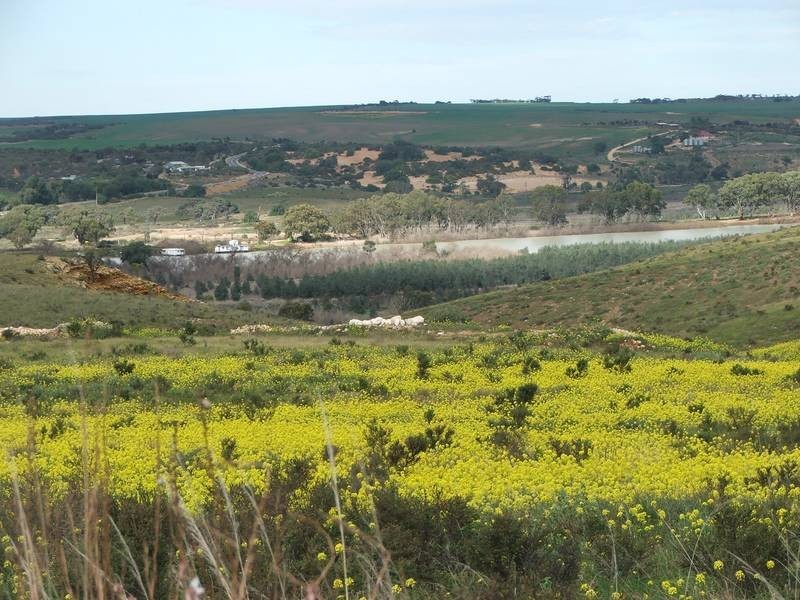 Lot 28 Shearer Heights, Mannum SA 5238