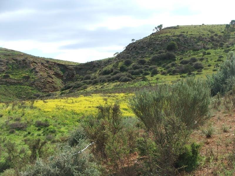 Lot 28 Shearer Heights, Mannum SA 5238