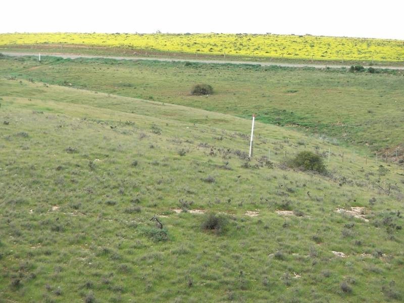 Lot 28 Shearer Heights, Mannum SA 5238