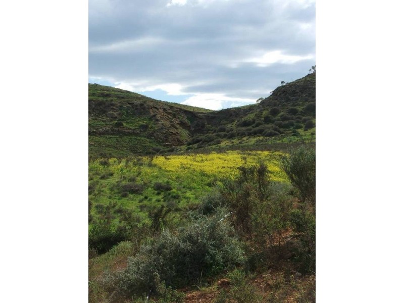 Lot 28 Shearer Heights, Mannum SA 5238