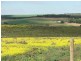 Lot 28 Shearer Heights, Mannum SA 5238