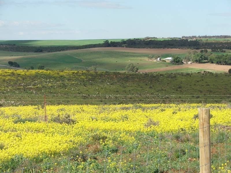 Lot 28 Shearer Heights, Mannum SA 5238