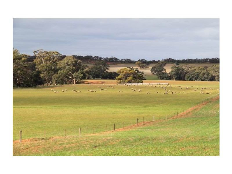 Lot 4 Mount Pleasant – Walker Flat Road, Angas Valley SA 5238