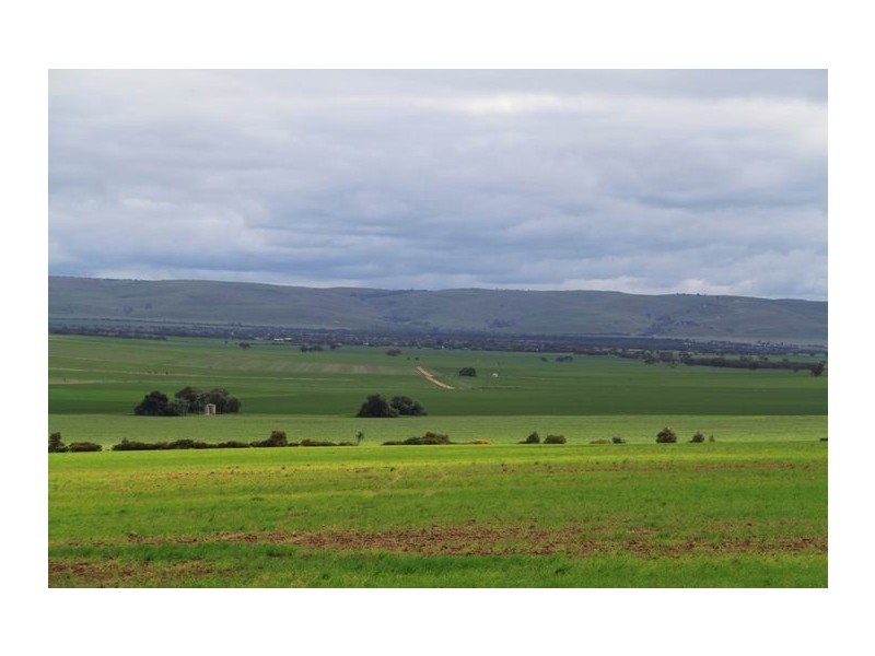 Lot 4 Mount Pleasant – Walker Flat Road, Angas Valley SA 5238