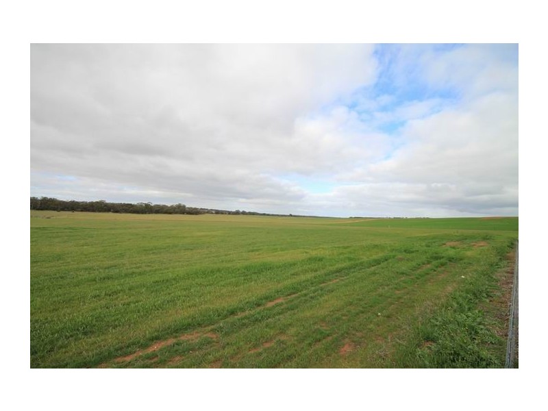 Lot 4 Mount Pleasant – Walker Flat Road, Angas Valley SA 5238