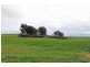 Lot 4 Mount Pleasant – Walker Flat Road, Angas Valley SA 5238