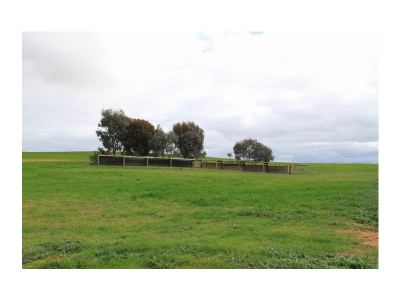 Lot 4 Mount Pleasant – Walker Flat Road, Angas Valley SA 5238