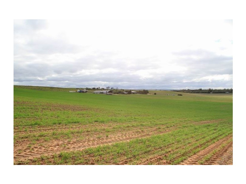 Lot 4 Mount Pleasant – Walker Flat Road, Angas Valley SA 5238
