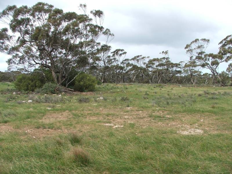 Lot 7 Greenshields Road, Younghusband SA 5238