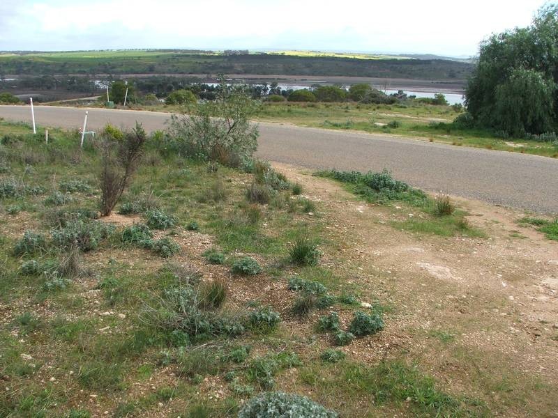 Lot 7 Greenshields Road, Younghusband SA 5238