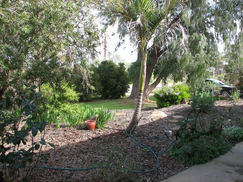 Sect 1119 Rathjen Road, Mypolonga SA 5254