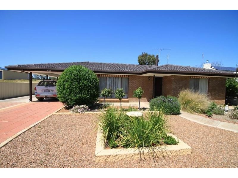20 Anzac Ave, Swan Reach SA 5354