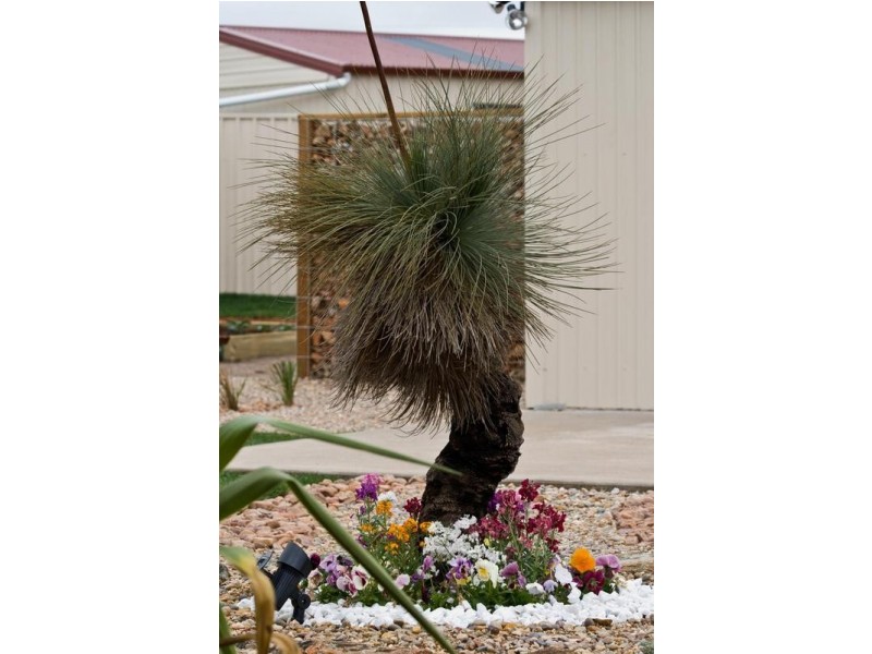 25 Male Road, Mannum SA 5238