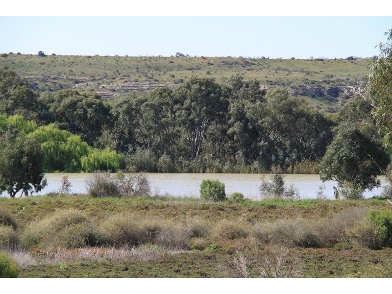 36 Tom Groggin Drive, Younghusband SA 5238