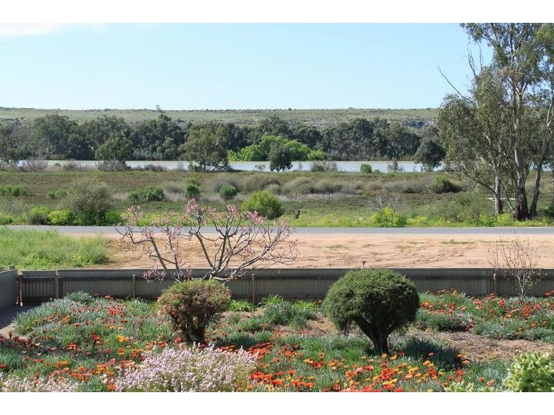 36 Tom Groggin Drive, Younghusband SA 5238