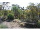 Allot 316 Cnr Murray Street & Needles Road, Caloote SA 5254