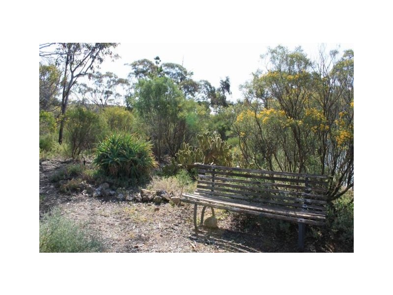 Allot 316 Cnr Murray Street & Needles Road, Caloote SA 5254