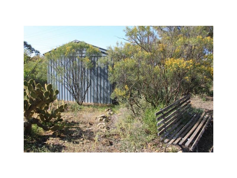 Allot 316 Cnr Murray Street & Needles Road, Caloote SA 5254