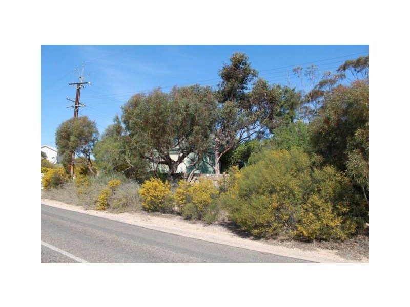 Allot 316 Cnr Murray Street & Needles Road, Caloote SA 5254