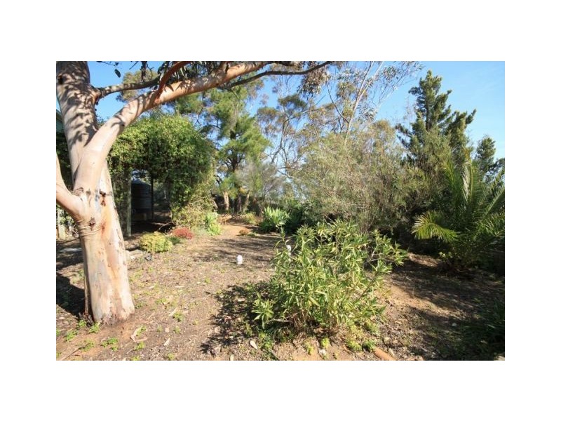 Allot 316 Cnr Murray Street & Needles Road, Caloote SA 5254